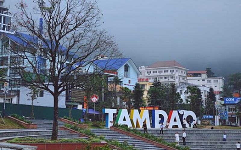 Tam đảo chắc chẵn sẽ mang đến cho bạn những trải nghiệm thú vị nhất