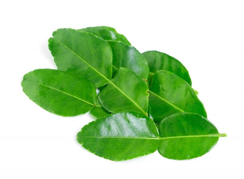 Tắm nước lá bưởi