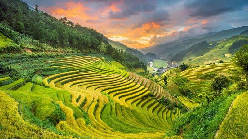 Vàng nắng tháng mười