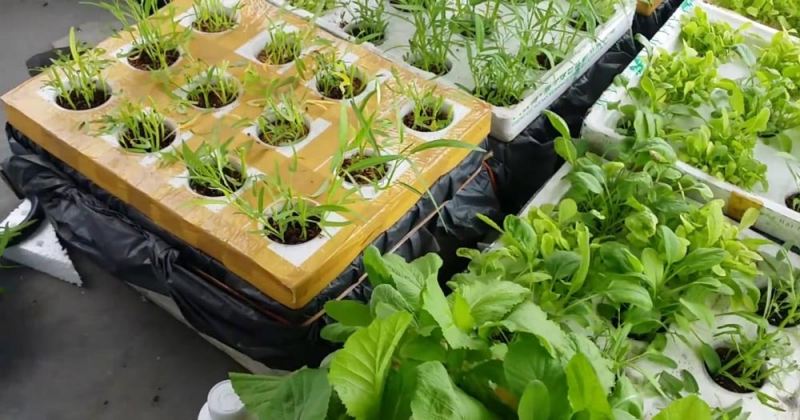 Mẹo chi tiêu tiết kiệm dịp Tết bạn nên biết