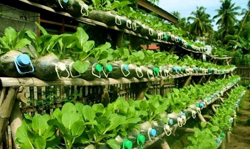 Tận dụng các nguồn thực phẩm có sẵn