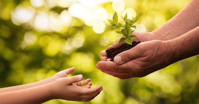 Tận dụng mọi cơ hội mà bạn gặp