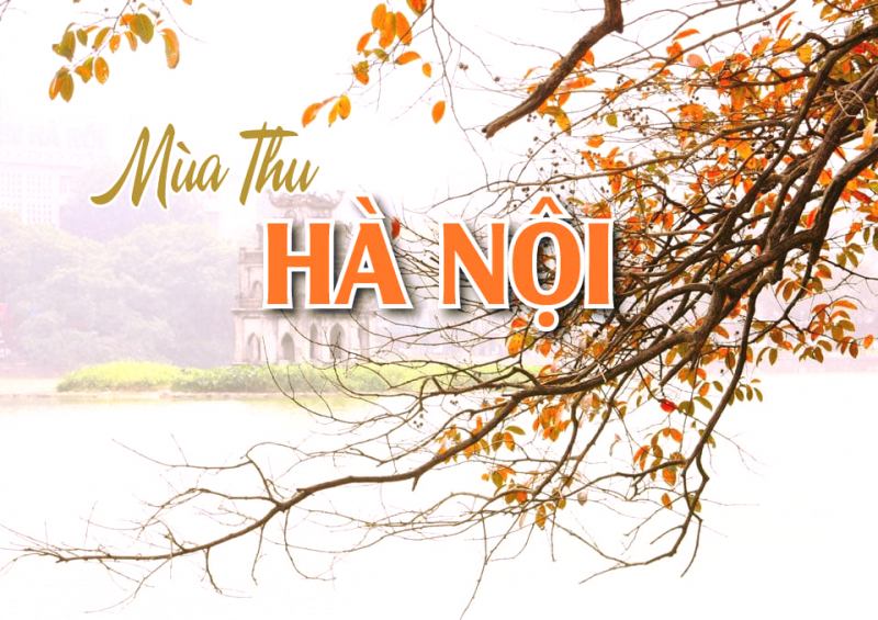 Ảnh minh họa (nguồn internet)