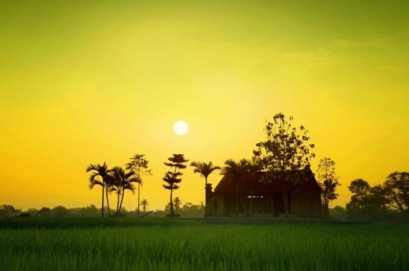 Quê hương Thái Bình