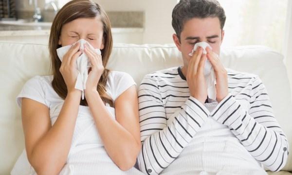 Ổi giúp tăng cường hệ miễn dịch