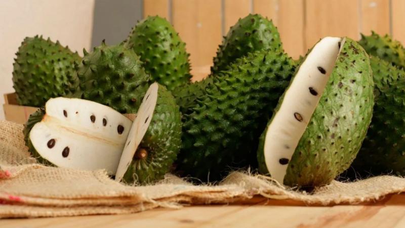 Tăng cường hệ thống miễn dịch