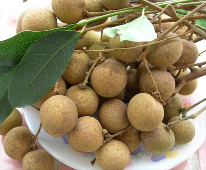 Tăng cường sự dẻo dai cho xương khớp