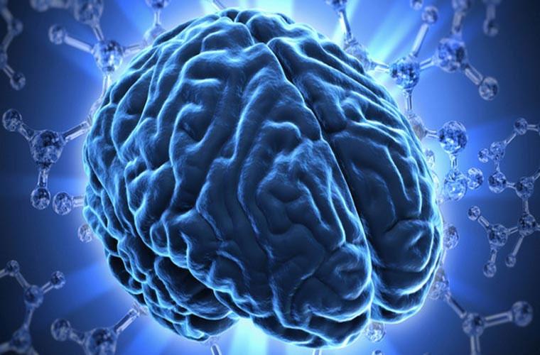 Tăng cường sự hoạt động của não bộ