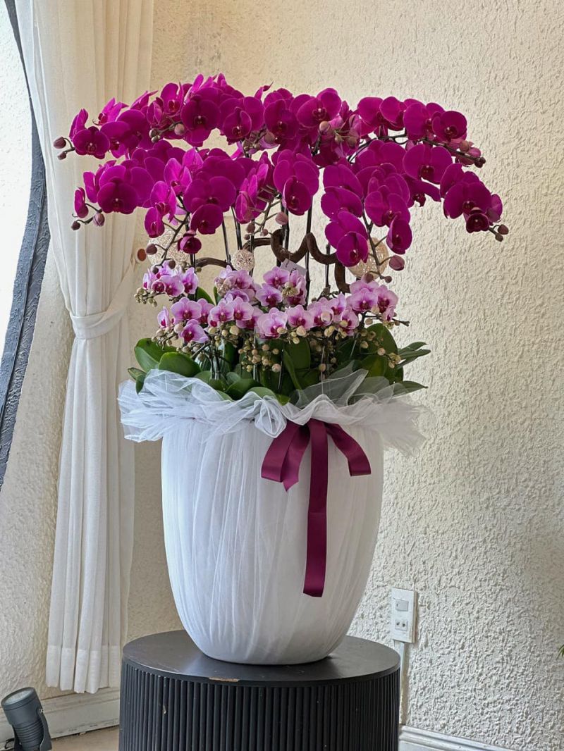 TAO florist