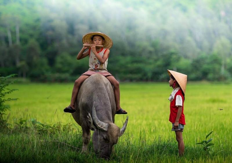 Nên tập các bài hát đơn giản - các bài cảm âm dễ thối khi mới bắt đầu học sáo
