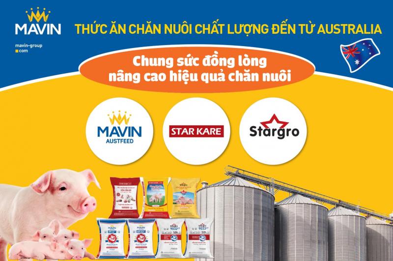 Tập đoàn Mavin