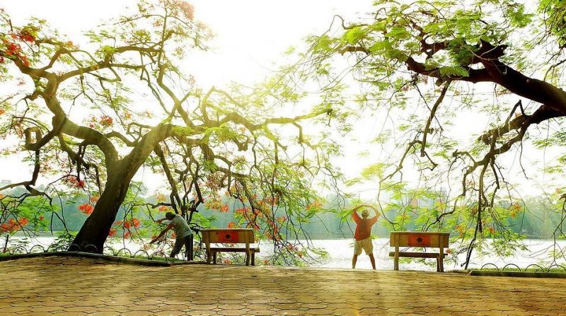 Sớm tinh mơ, khi mặt trời chỉ vừa tỏa sáng, thì các cô các chú, bạn trẻ đã náo nức cùng nhau ra bờ Hồ tập thể dục.