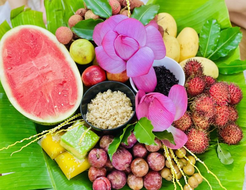 Hái lá thuốc