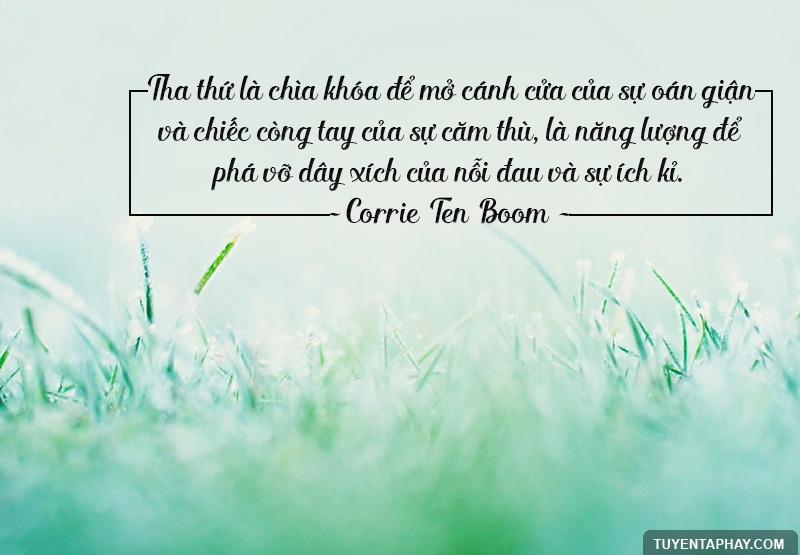 Tha thứ cho người là giải thoát cho mình
