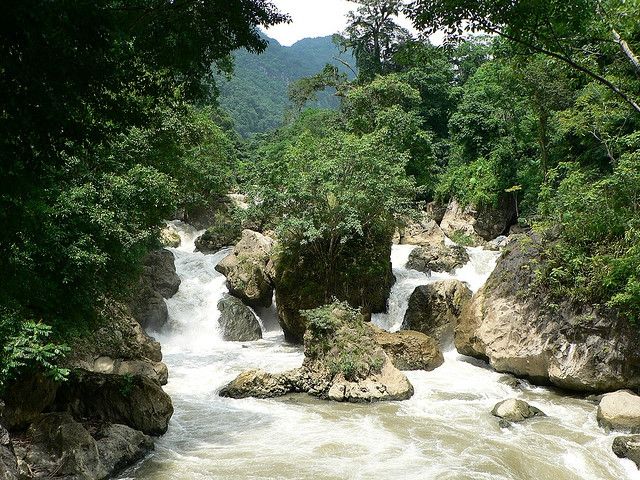 Dòng nước chảy xuống tạo những bọt trắng xóa