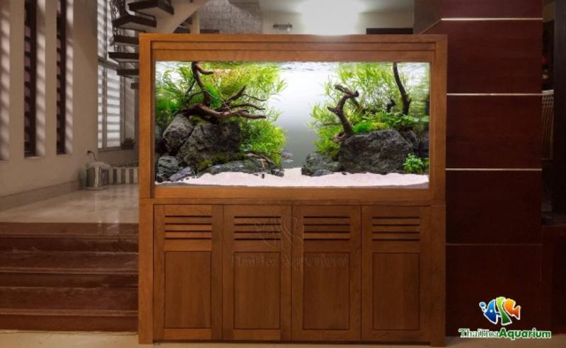Thái Hoà Aquarium