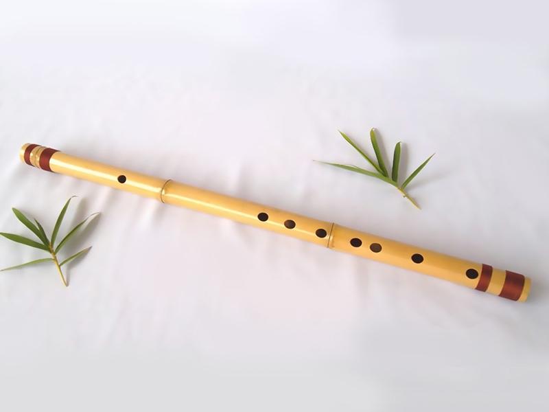Hình ảnh về sáo trúc