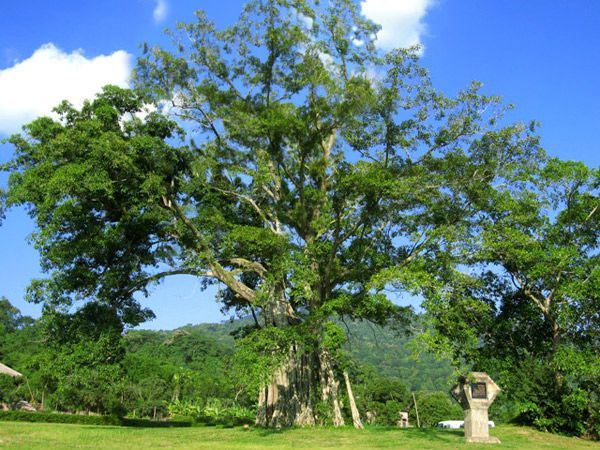 Thăm Tân Trào nhớ bác