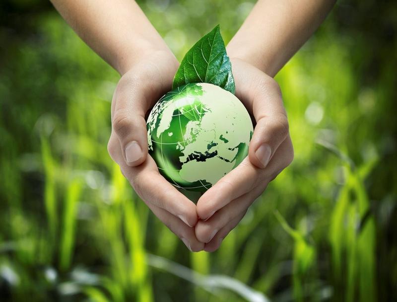 Sử dụng mooncup chính là biện pháp giúp giảm thải rác thải