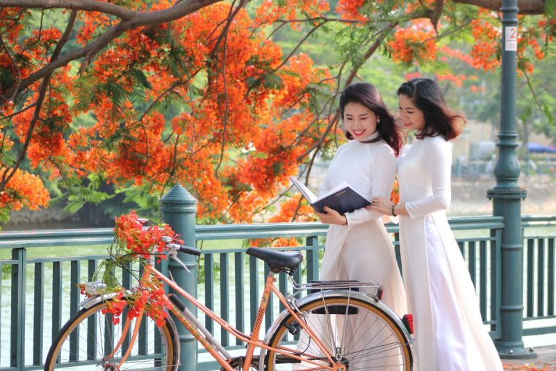 Ngày ấy bạn và tôi