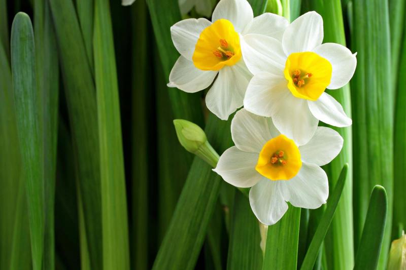 Tháng mười hai, đong đầy nỗi nhớ