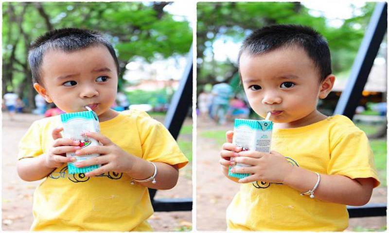 Thành phần dinh dưỡng
