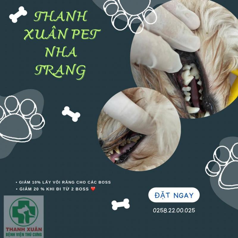 Thanhxuanpet Nha Trang
