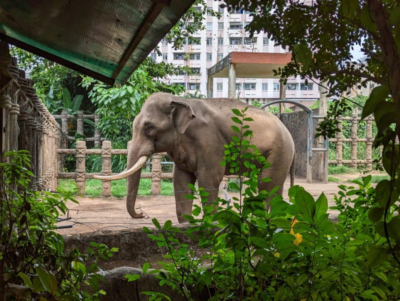 Công viên Thảo Cầm Viên
