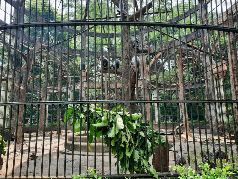 Thảo Cầm Viên