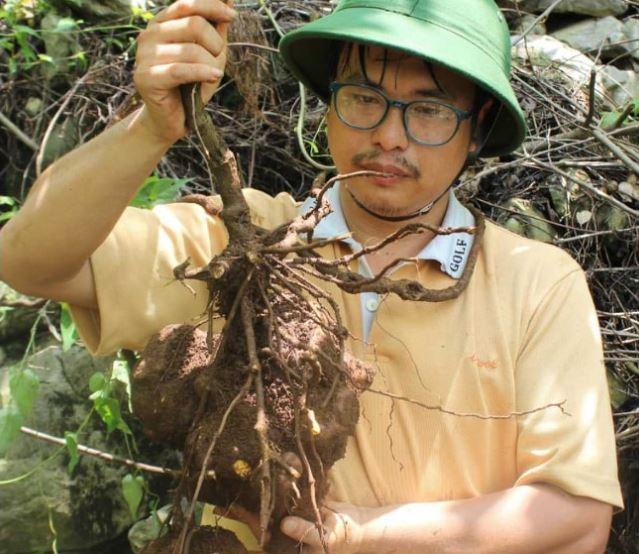 Thảo Dược Khai Tâm