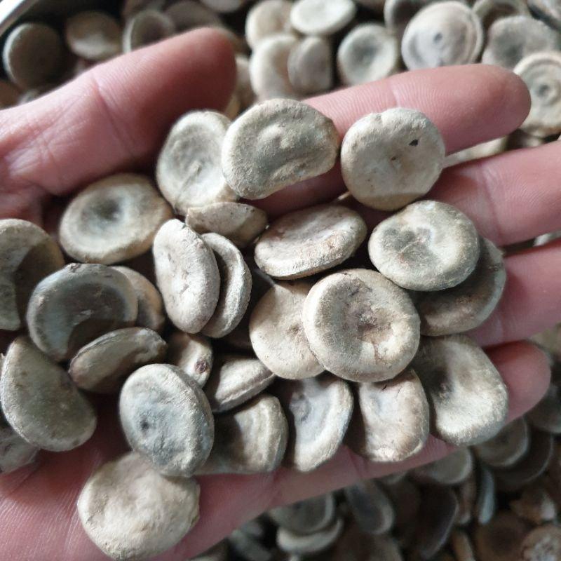 Thảo Dược Tấn Phát