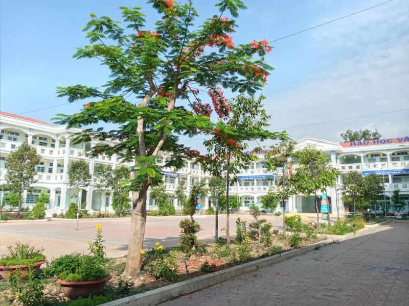 THCS Châu Văn Liêm