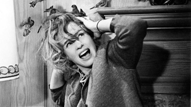 The Birds (1963)