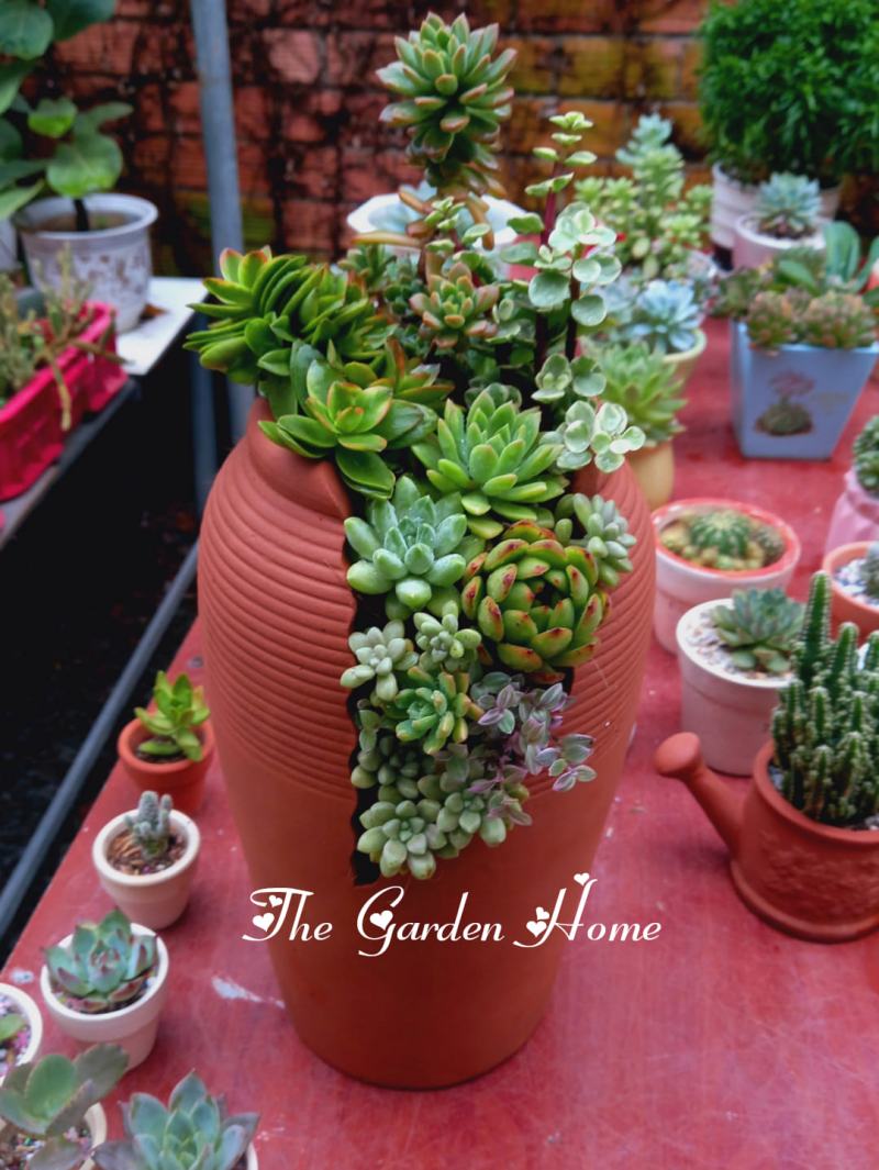 The Garden Home