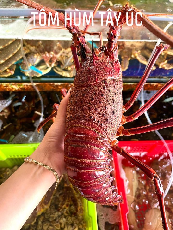 Thế Giới Hải Sản Cần Thơ