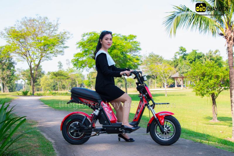 Thế Giới Xe Chạy Điện