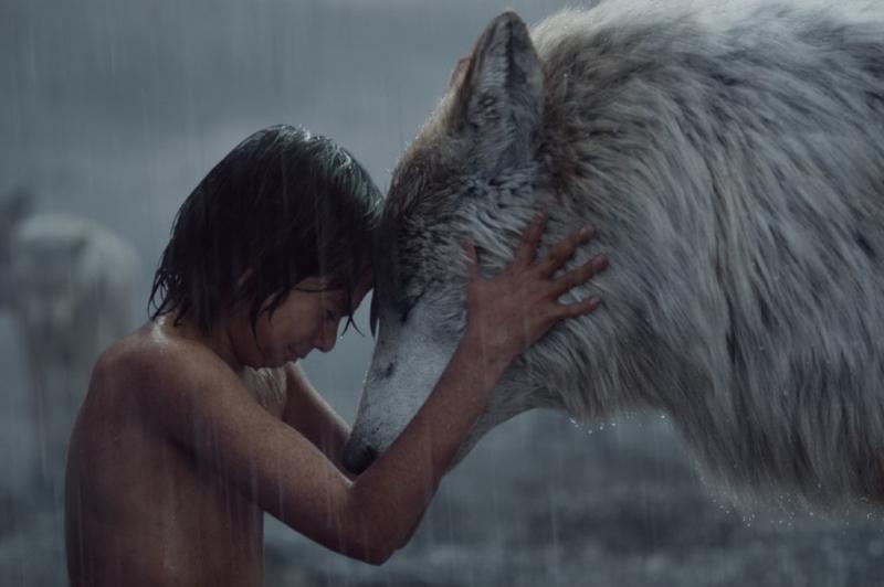 The Jungle Book (Disney) - 940,6 triệu USD