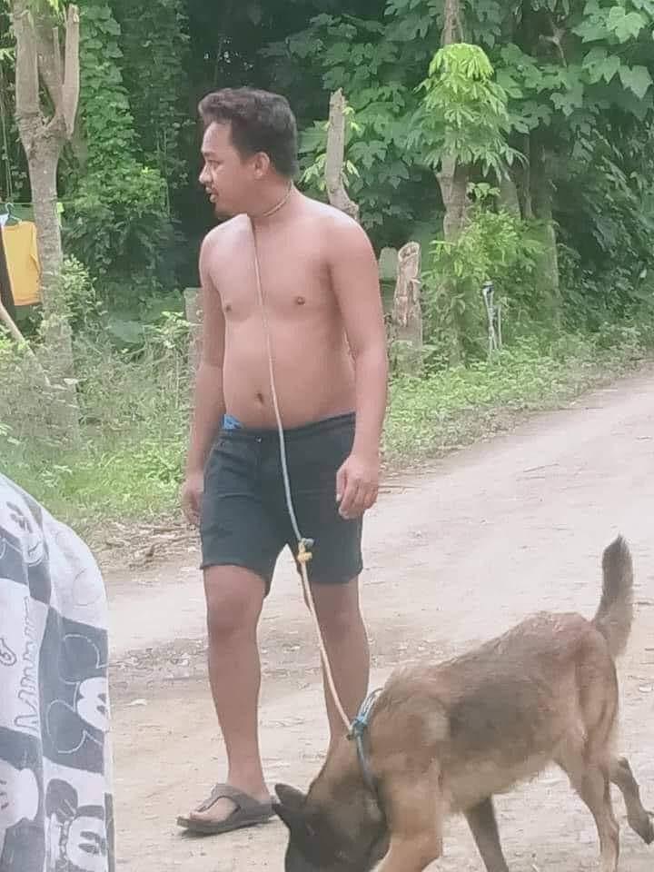 dắt chó đi dạo đâu có gì khó