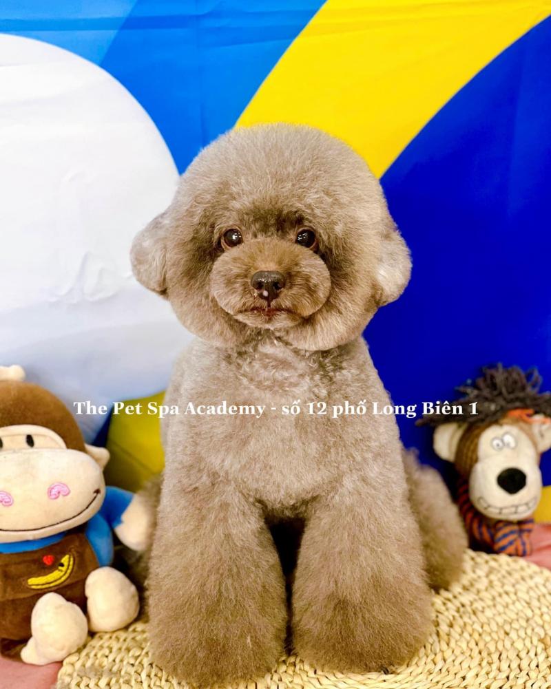 The Pet Spa - Pet Grooming Academy