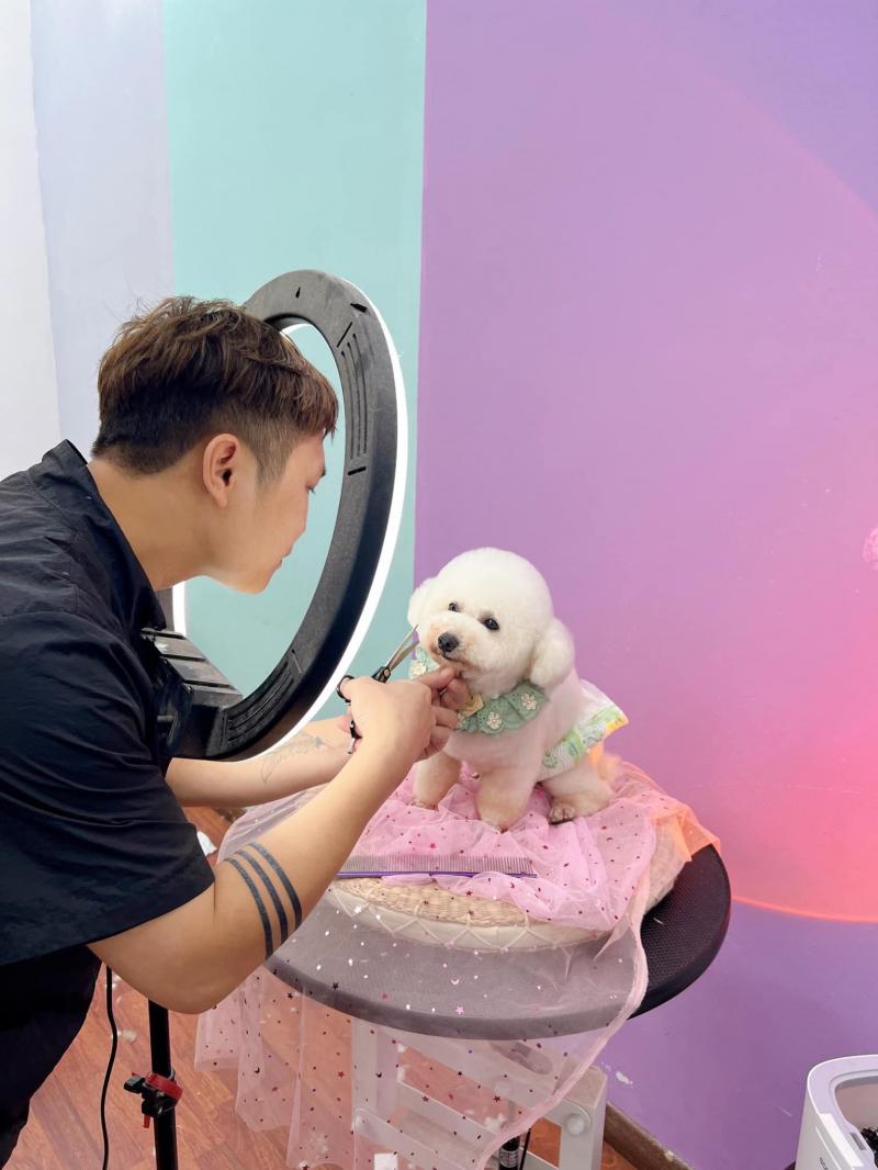 The Pet Spa - Pet Grooming Academy