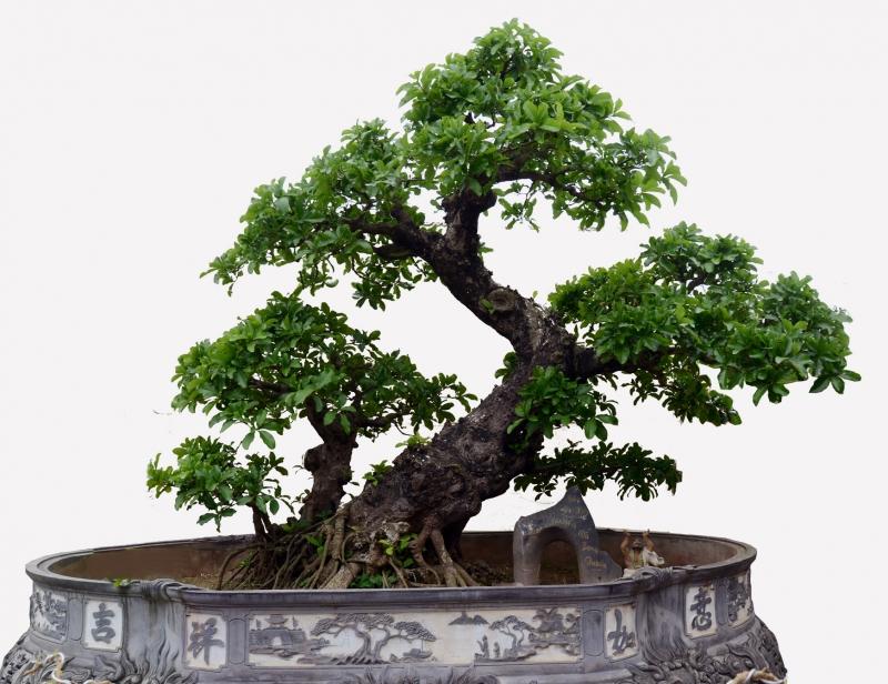 Thế phụ tử giao chi