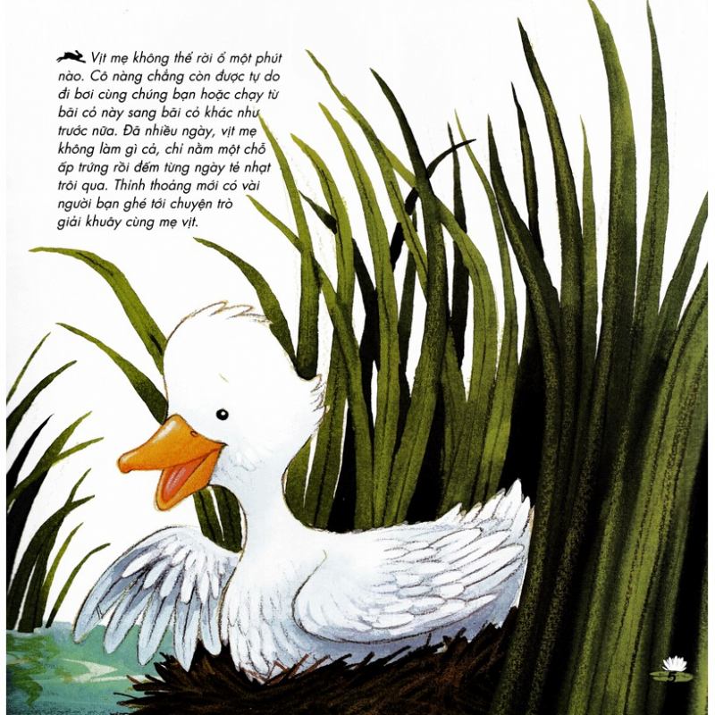 The Ugly Duckling - Vịt con xấu xí