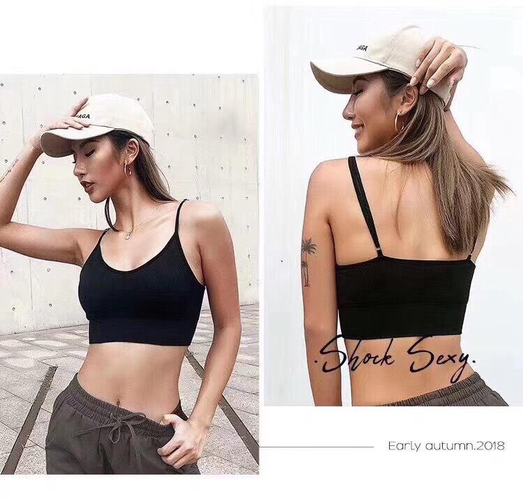 Thế giới đồ tập