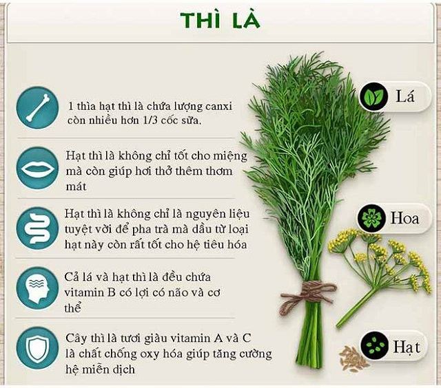 Chữa rối loạn kinh nguyệt