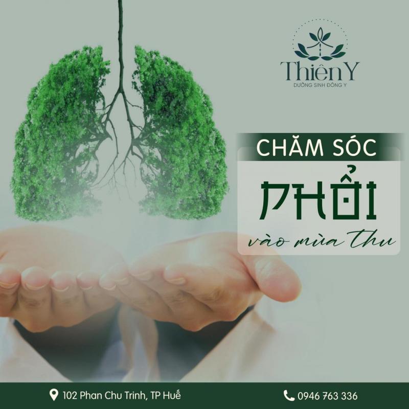 Thiên Y - Dưỡng Sinh Đông Y