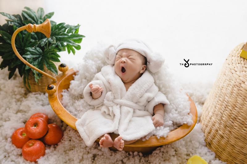 Thỏ Photography