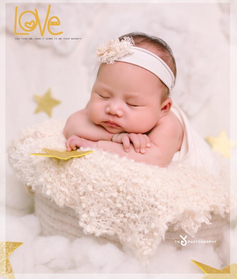 Thỏ Photography