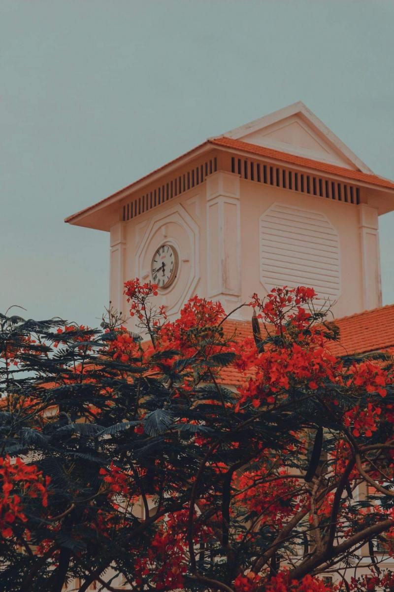 THPT Hậu Nghĩa
