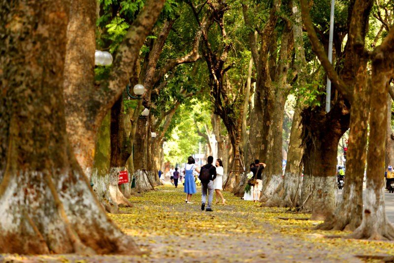 THU HÀ NỘI CHỜ EM
