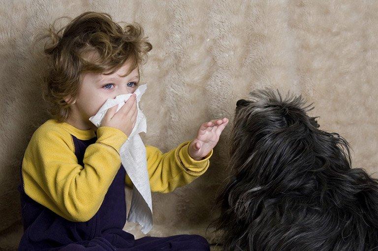 Hạn chế tiếp xúc với thú nuôi